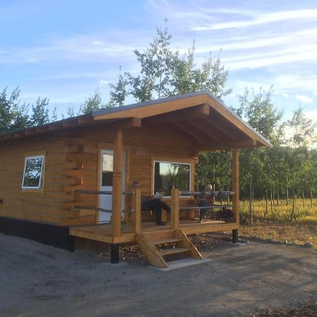 הוילה ווייטהורס Oma'S And Opa'S Northern Lights Viewing Cabin מראה חיצוני תמונה