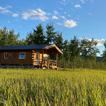 הוילה ווייטהורס Oma'S And Opa'S Northern Lights Viewing Cabin מראה חיצוני תמונה