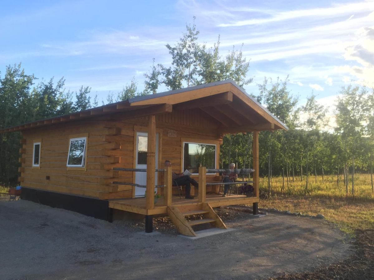 הוילה ווייטהורס Oma'S And Opa'S Northern Lights Viewing Cabin מראה חיצוני תמונה