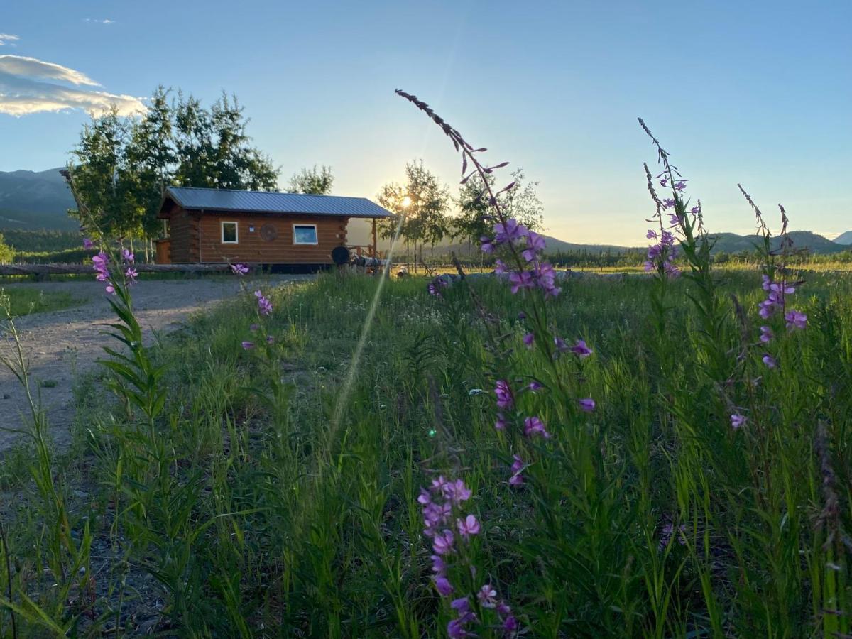 הוילה ווייטהורס Oma'S And Opa'S Northern Lights Viewing Cabin מראה חיצוני תמונה