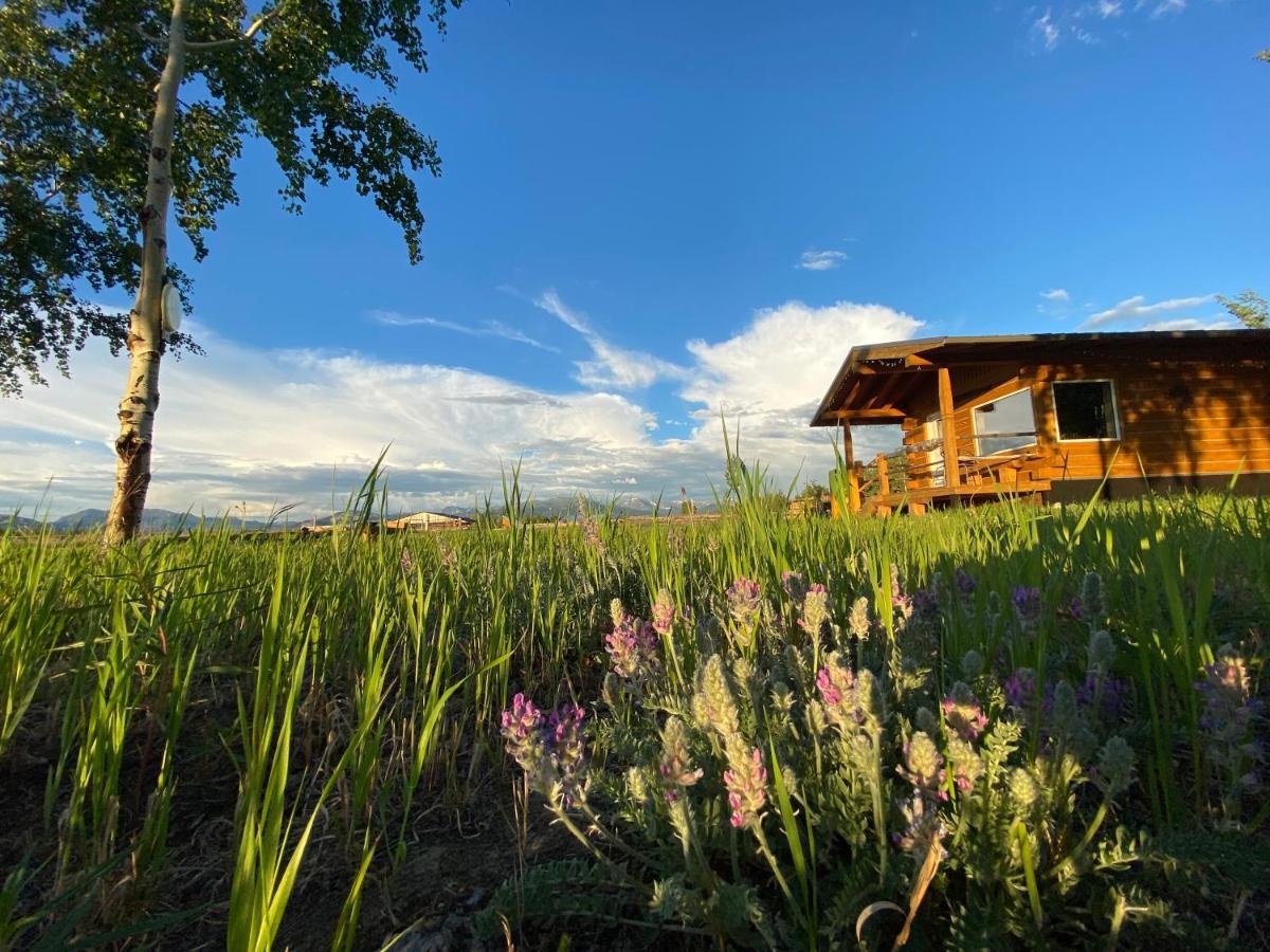 הוילה ווייטהורס Oma'S And Opa'S Northern Lights Viewing Cabin מראה חיצוני תמונה