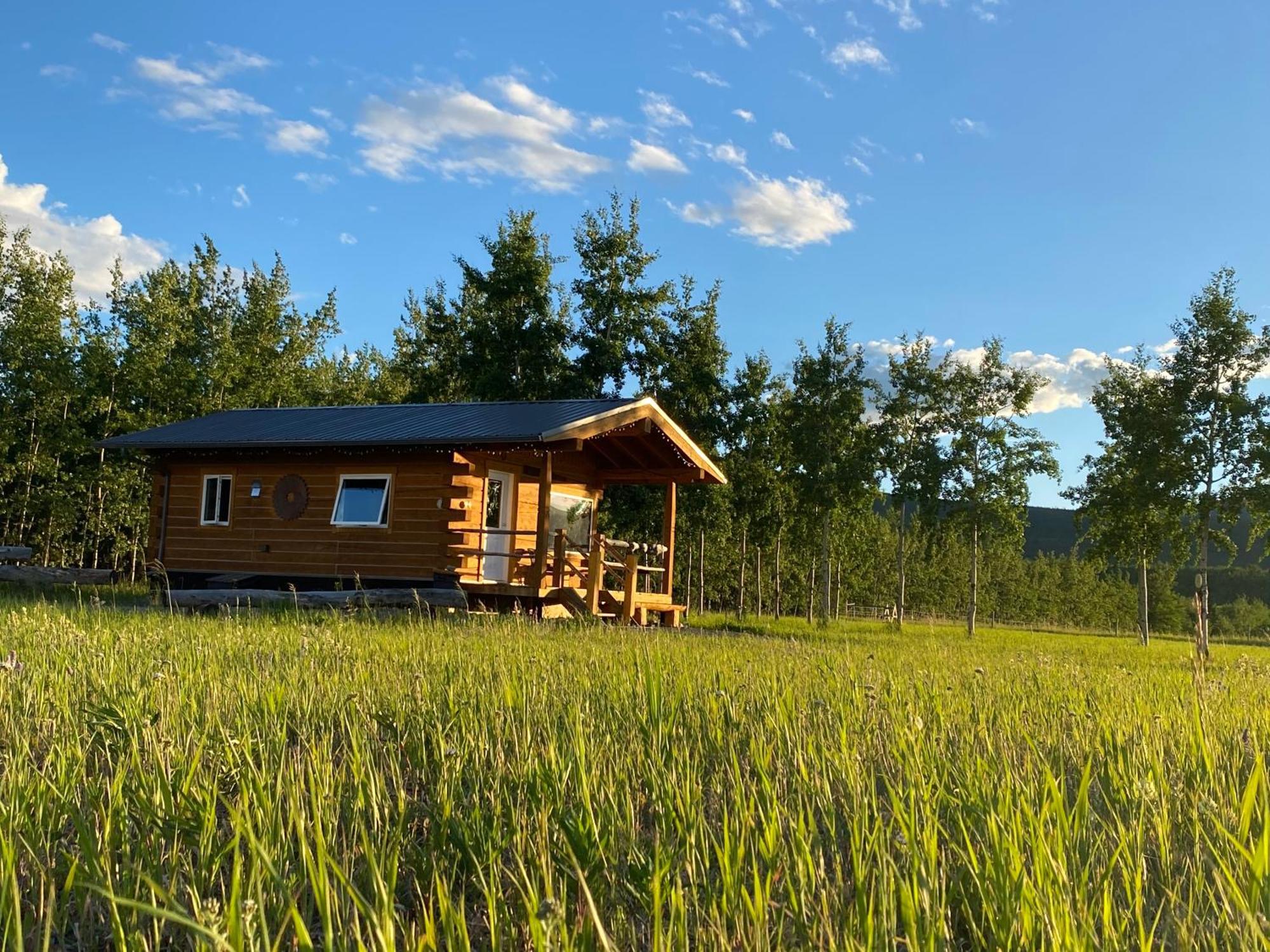 הוילה ווייטהורס Oma'S And Opa'S Northern Lights Viewing Cabin מראה חיצוני תמונה